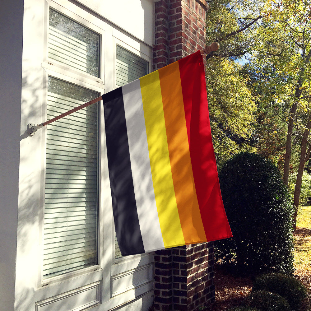 Caroline's Treasures Lithsexual Pride Flag Canvas House Size