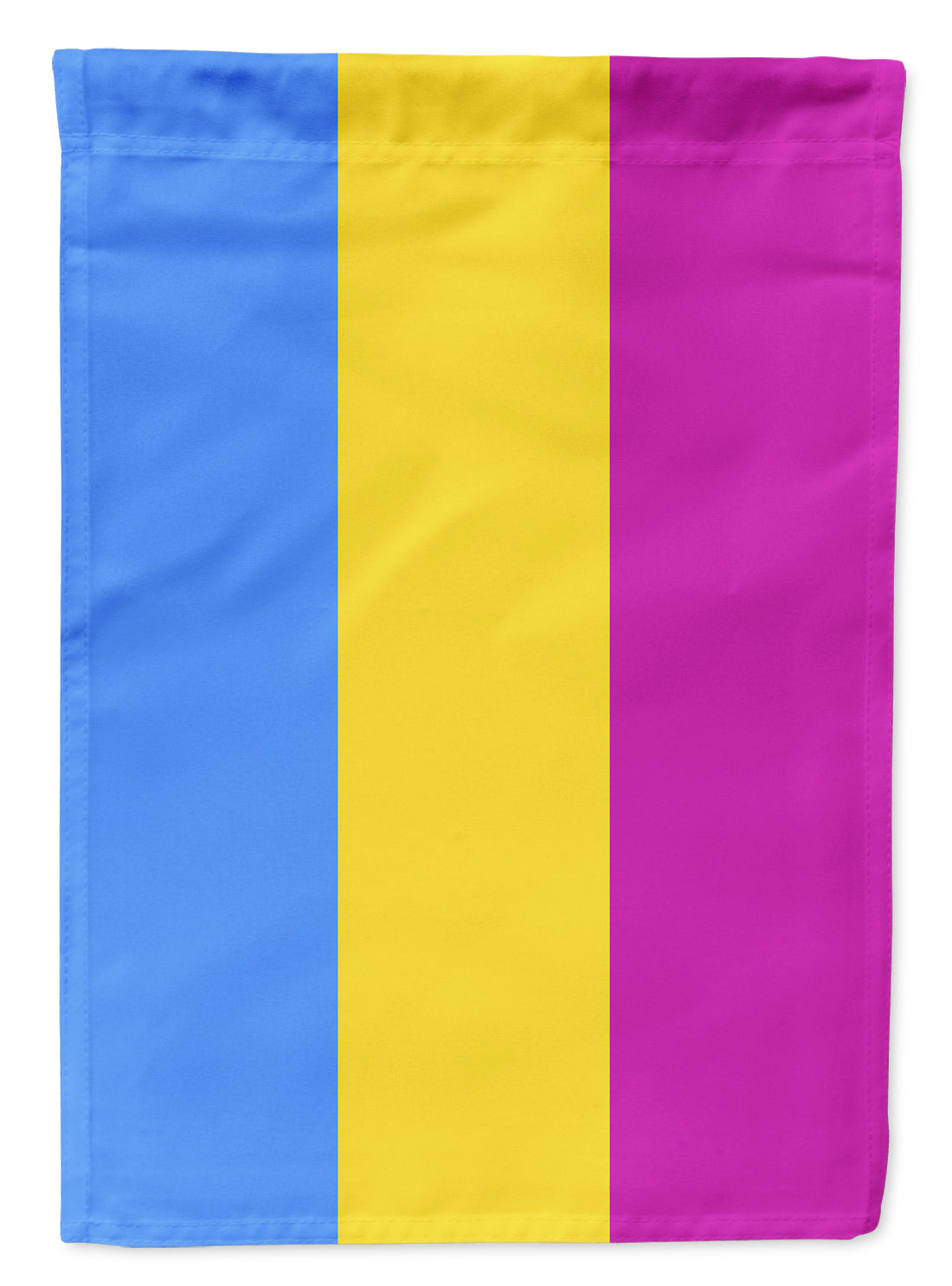 Pansexual Pride Flag Canvas House Size