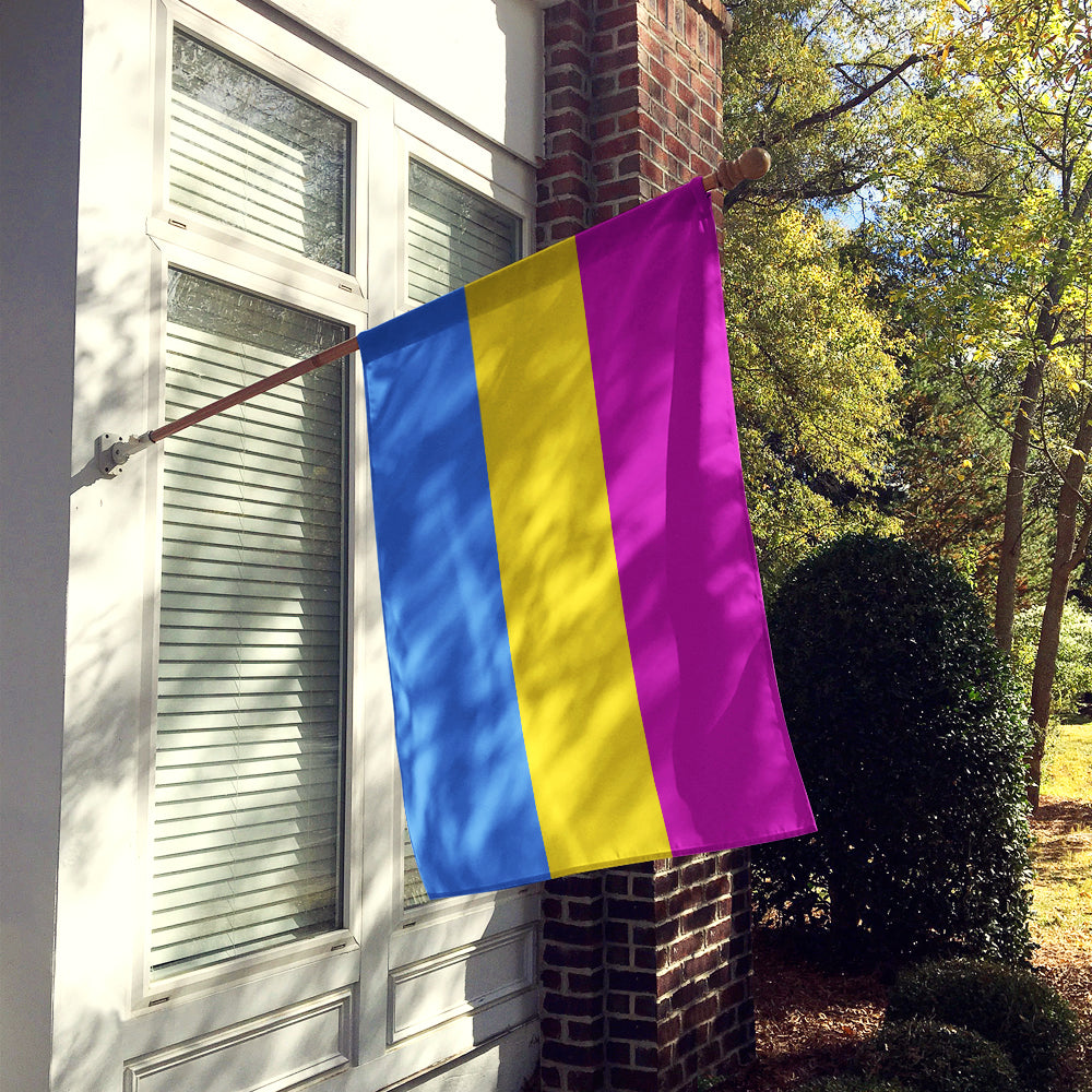 Pansexual Pride Flag Canvas House Size  the-store.com.