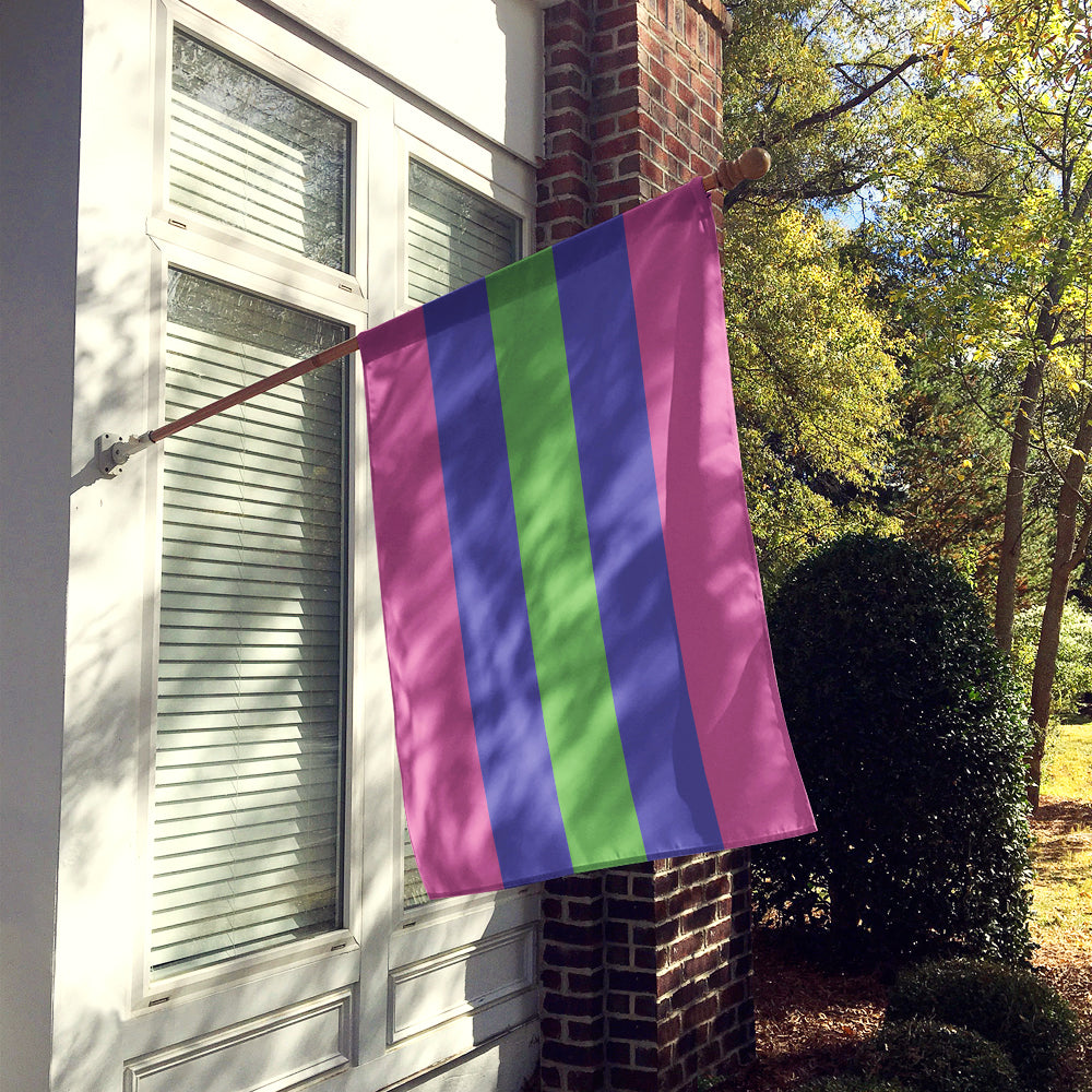 Caroline's Treasures Trigender Pride Flag Canvas House Size
