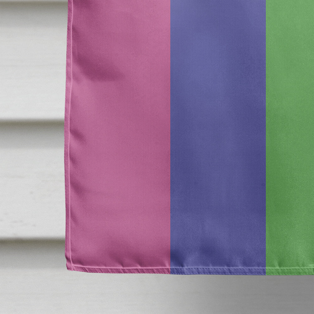 Trigender Pride Flag Canvas House Size