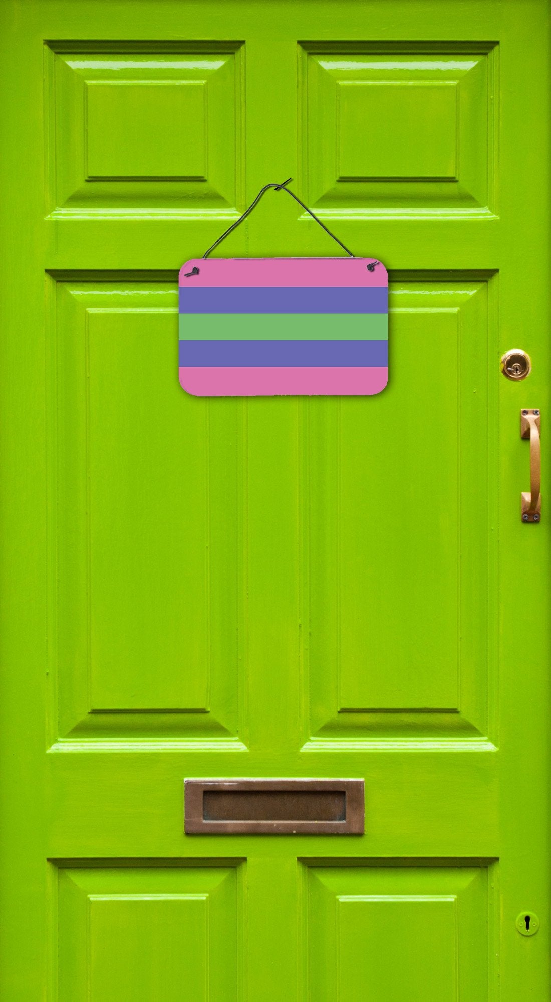 Caroline's Treasures Trigender Pride Wall or Door Hanging Prints