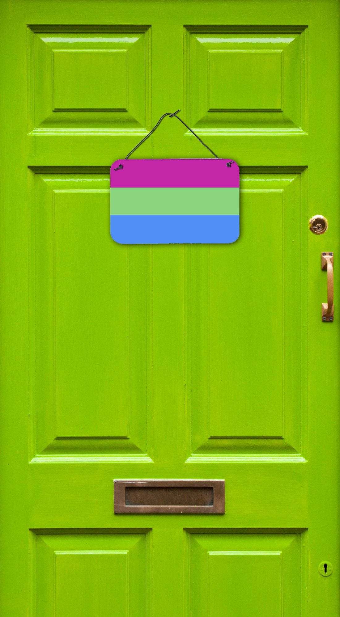 Caroline's Treasures Polisexual Pride Wall or Door Hanging Prints