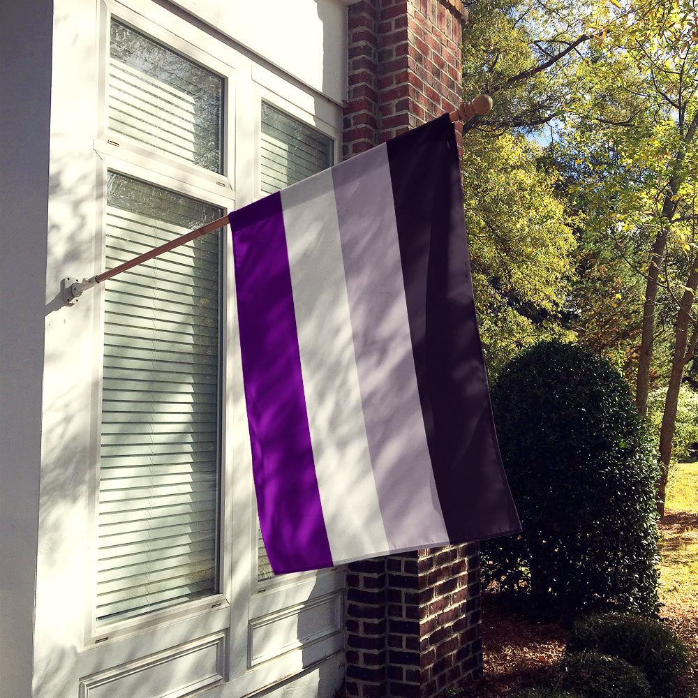 Asexual Pride Flag Canvas House Size