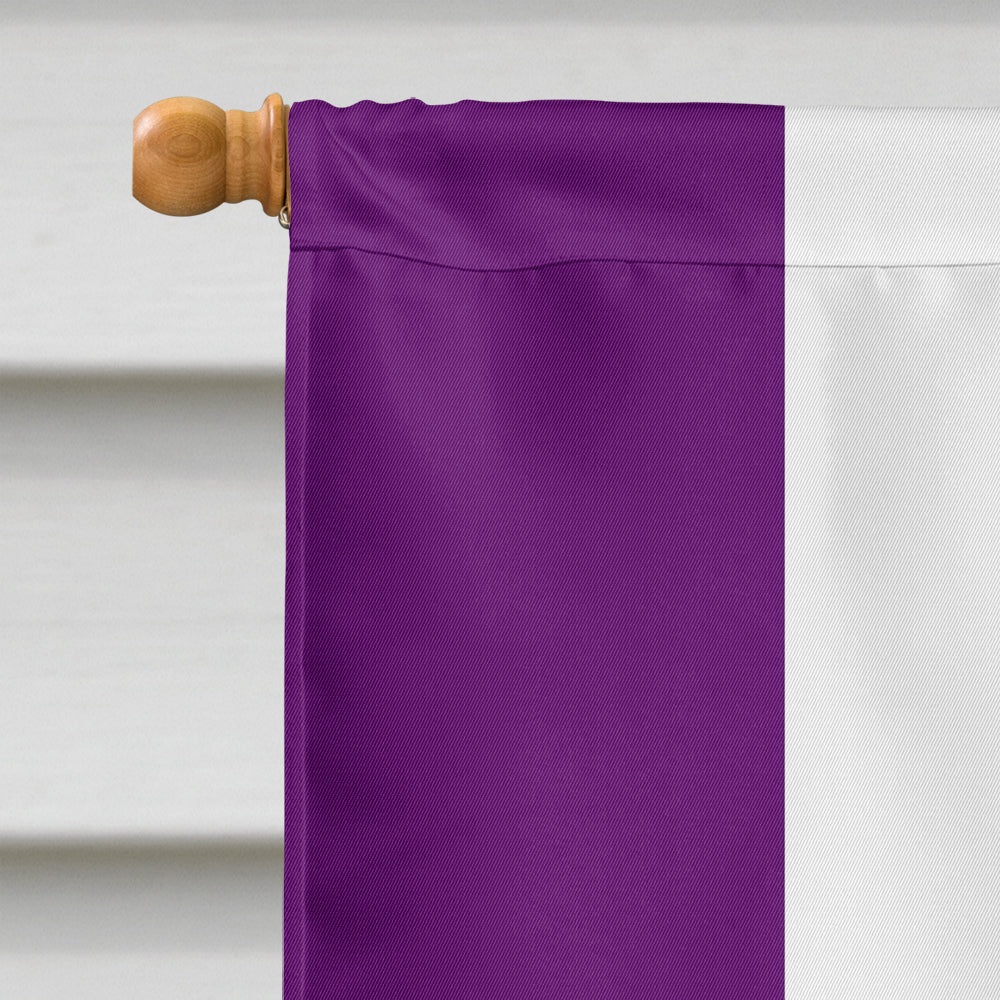 Asexual Pride Flag Canvas House Size  the-store.com.