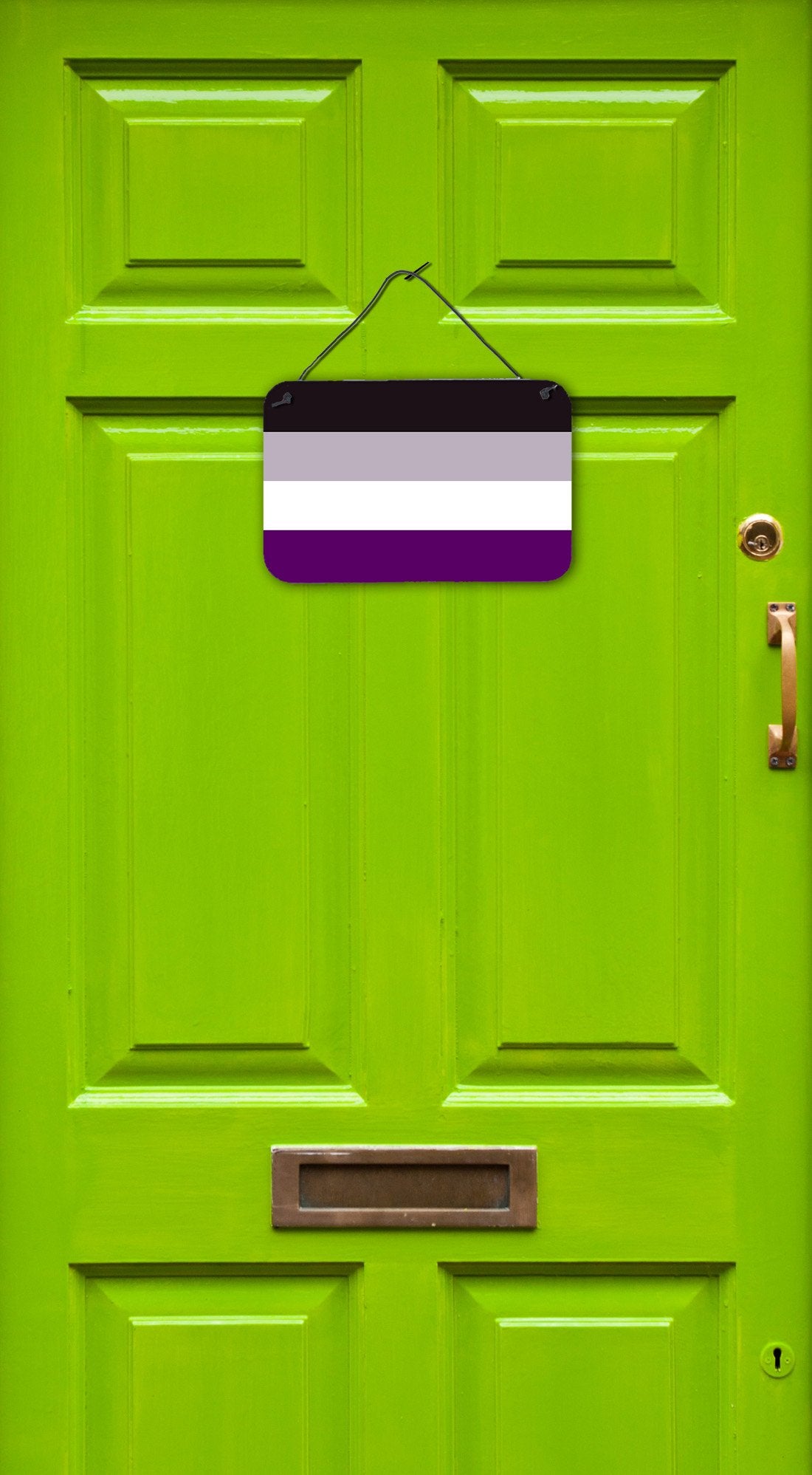 Asexual Pride Wall or Door Hanging Prints - the-store.com