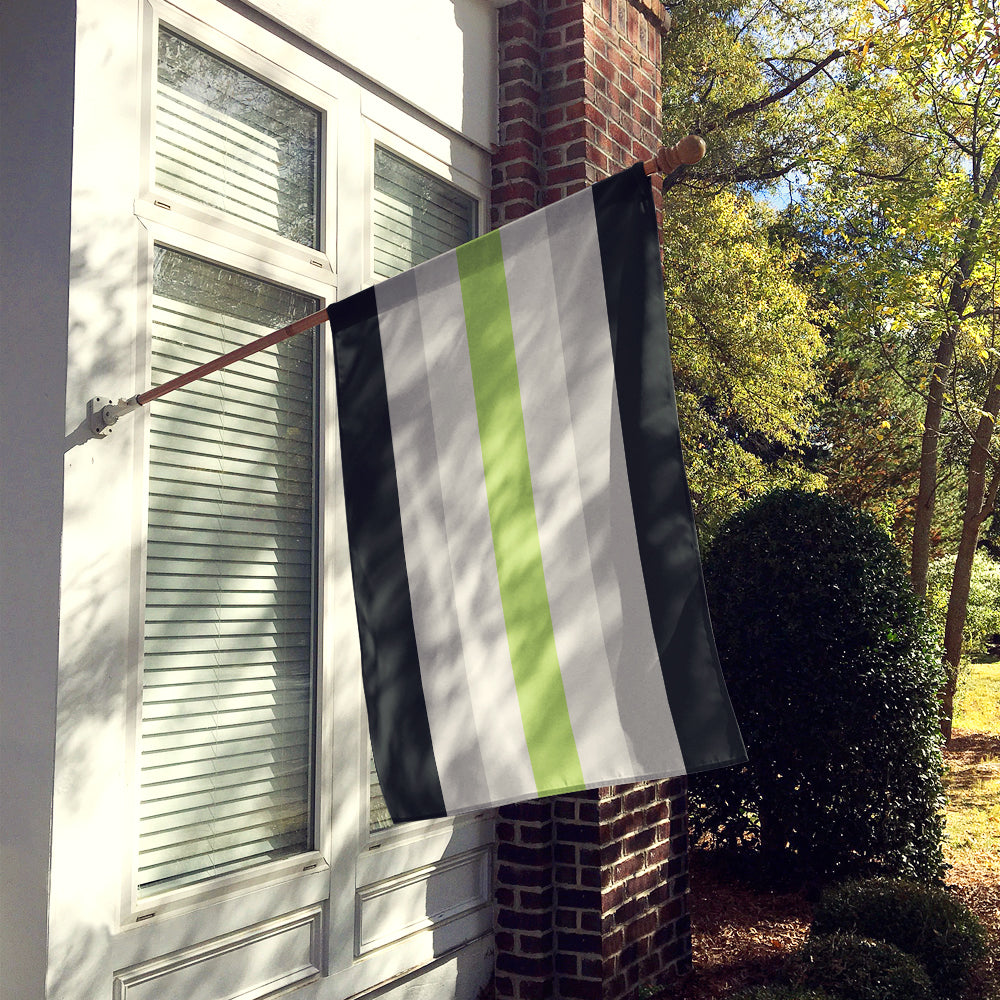 Caroline's Treasures Agender Pride Flag Canvas House Size