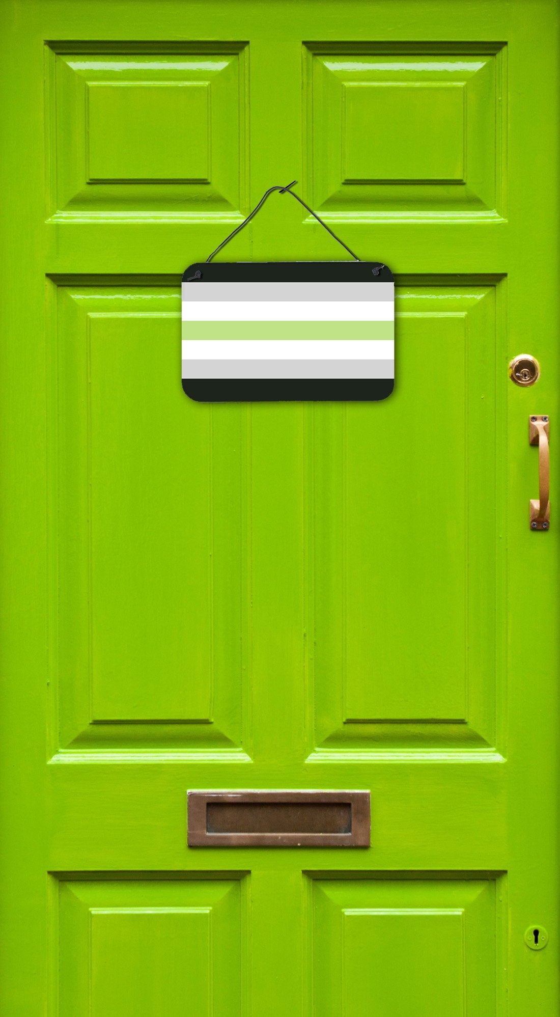 Caroline's Treasures Agender Pride Wall or Door Hanging Prints