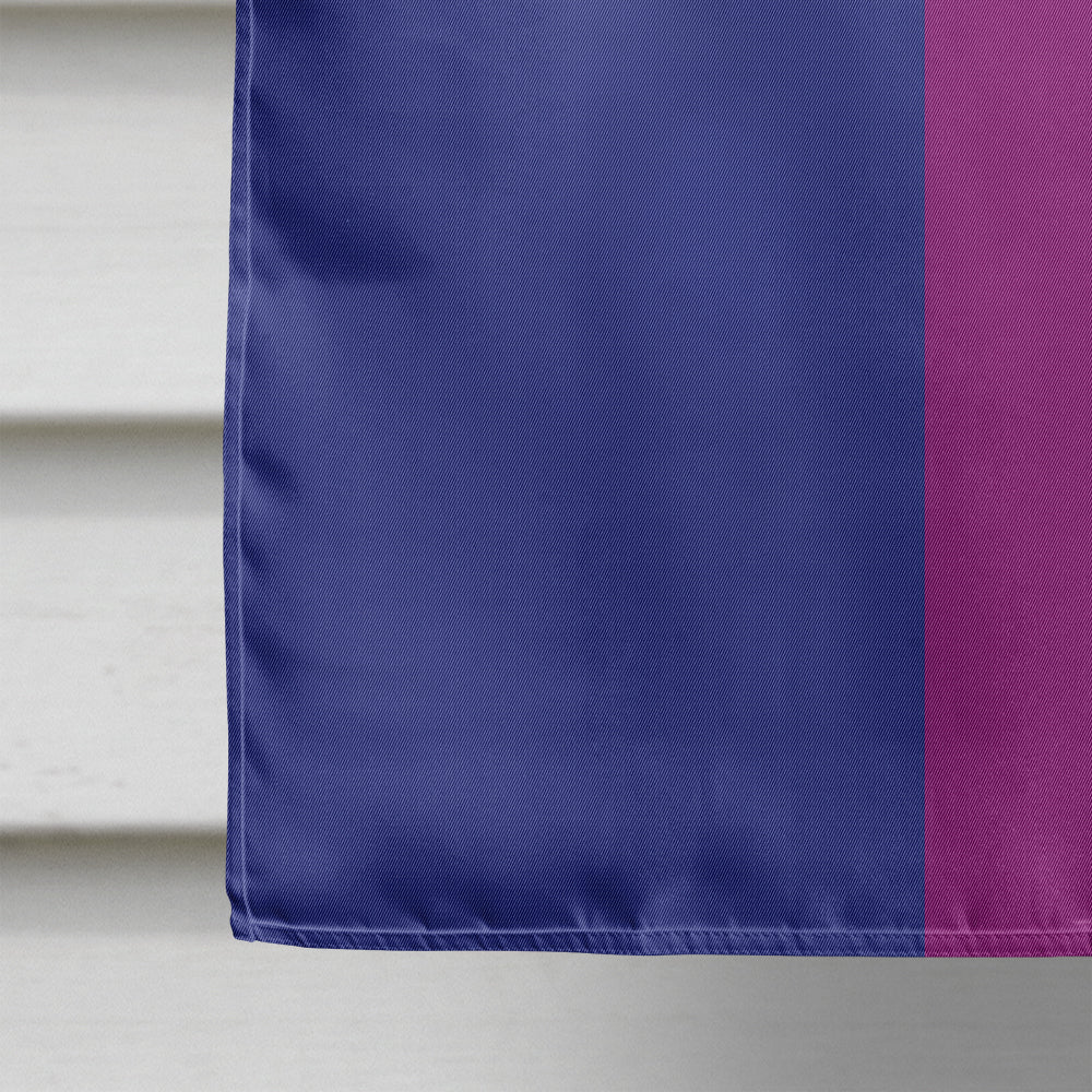 Bisexual Pride Flag Canvas House Size