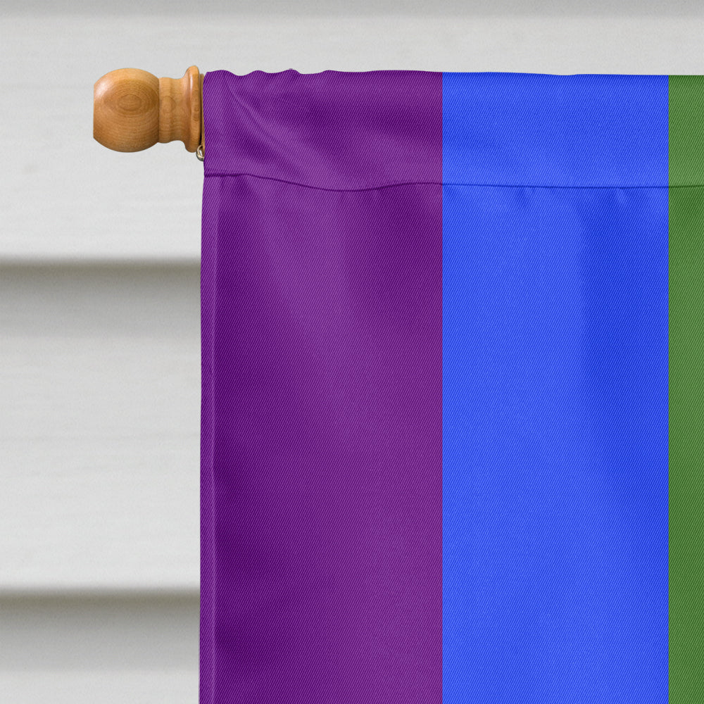 USA Gay Pride Flag Canvas House Size
