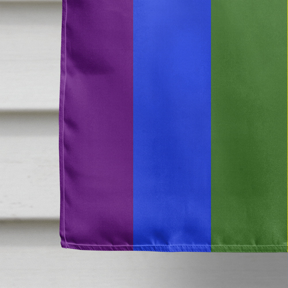 Gay Pride Progress Pride Flag Canvas House Size  the-store.com.