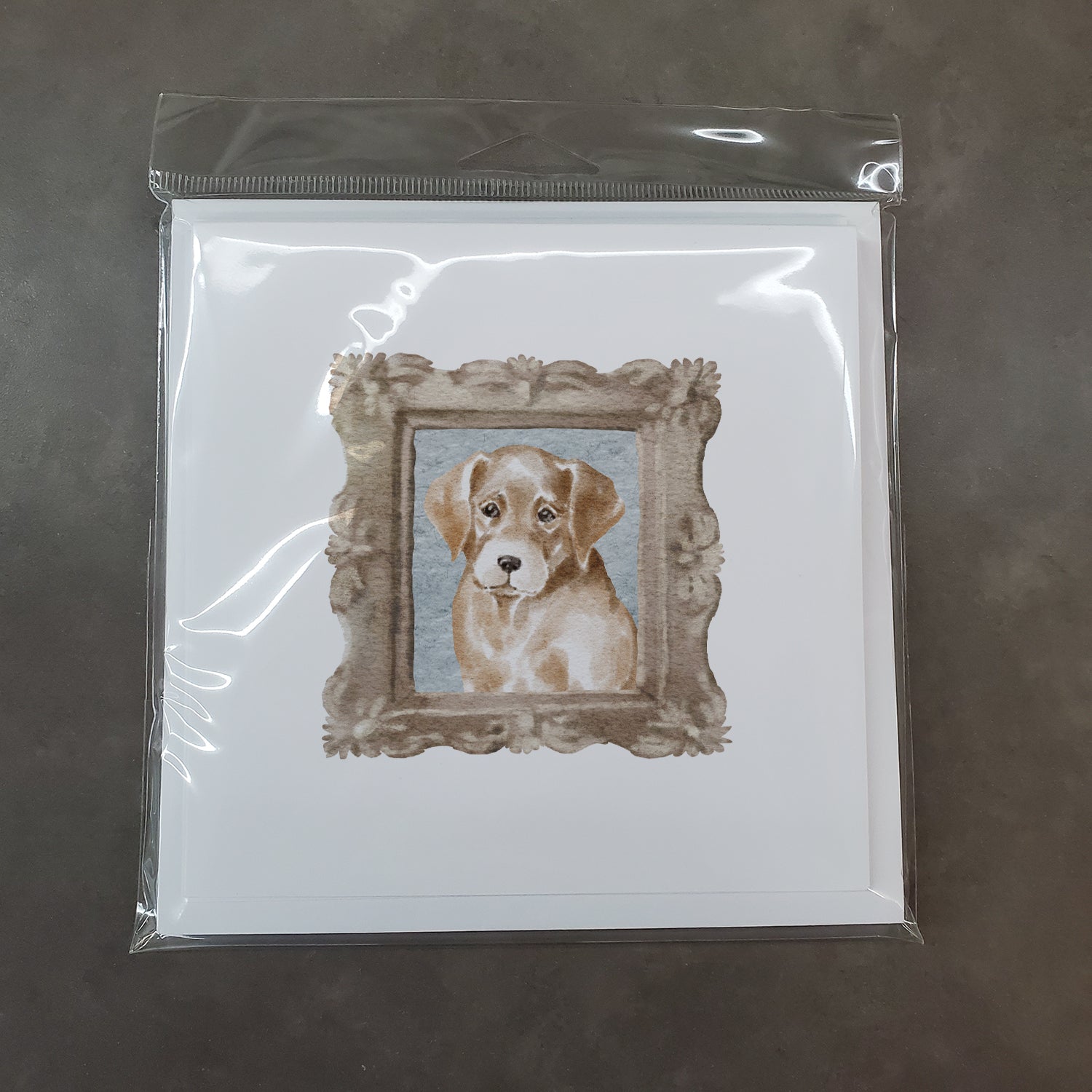 Labrador Retriever Yellow Puppy Front View Square Greeting Cards and Envelopes Pack of 8 - the-store.com