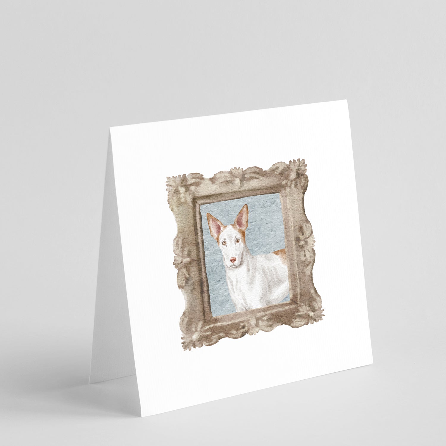 Buy this Ibizan Hound Front View Square Greeting Cards and Envelopes Pack of 8