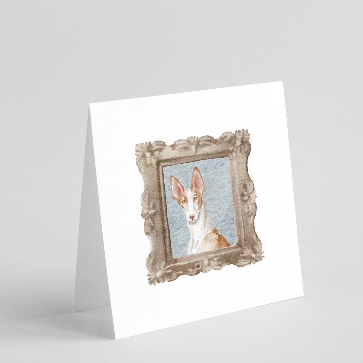 Buy this Ibizan Hound Front View 4 Square Greeting Cards and Envelopes Pack of 8