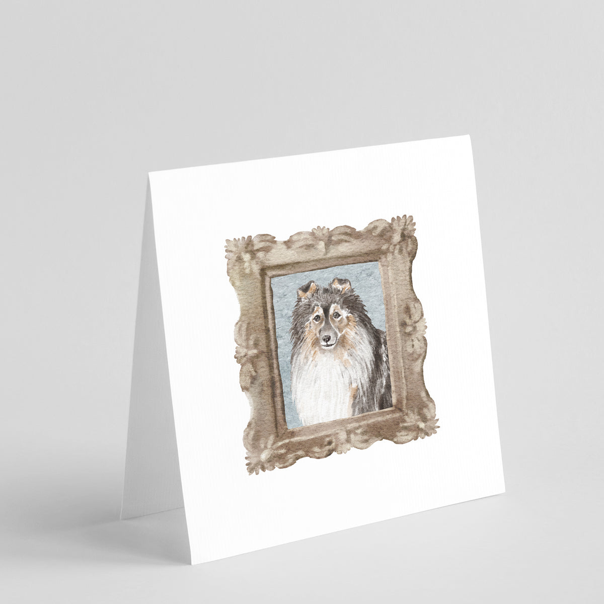 Buy this Sheltie Sable Front View 2 Square Greeting Cards and Envelopes Pack of 8