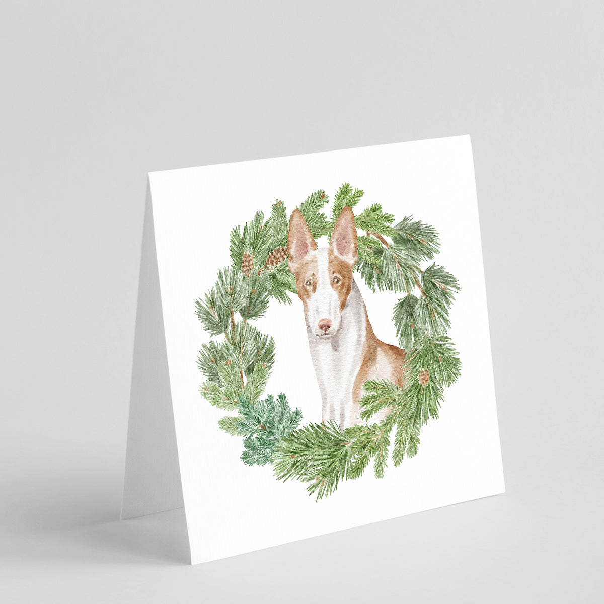 Buy this Ibizan Hound Sitting Tall with Christmas Wreath Square Greeting Cards and Envelopes Pack of 8