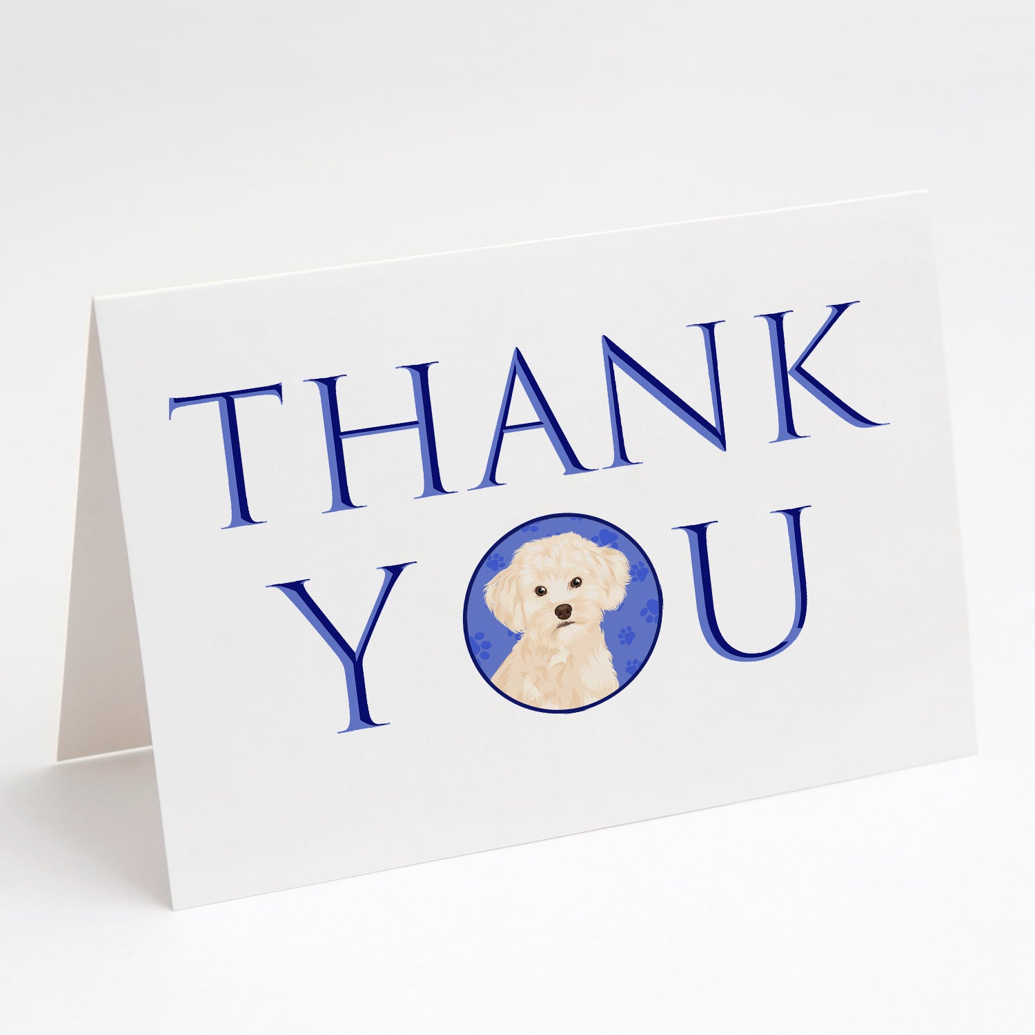 Buy this Poodle Toy Cream Thank You Greeting Cards and Envelopes Pack of 8