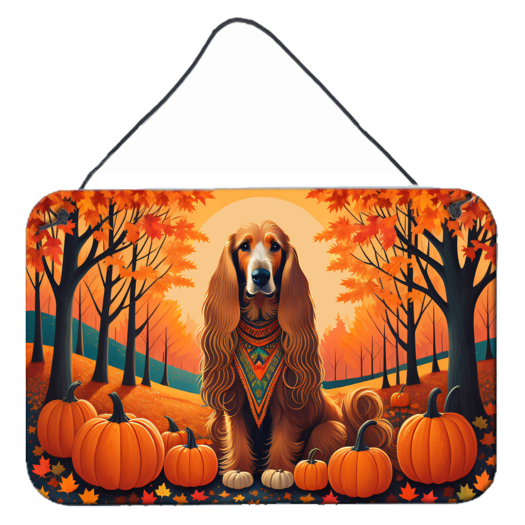 Buy this Afghan Hound Fall Wall or Door Hanging Prints