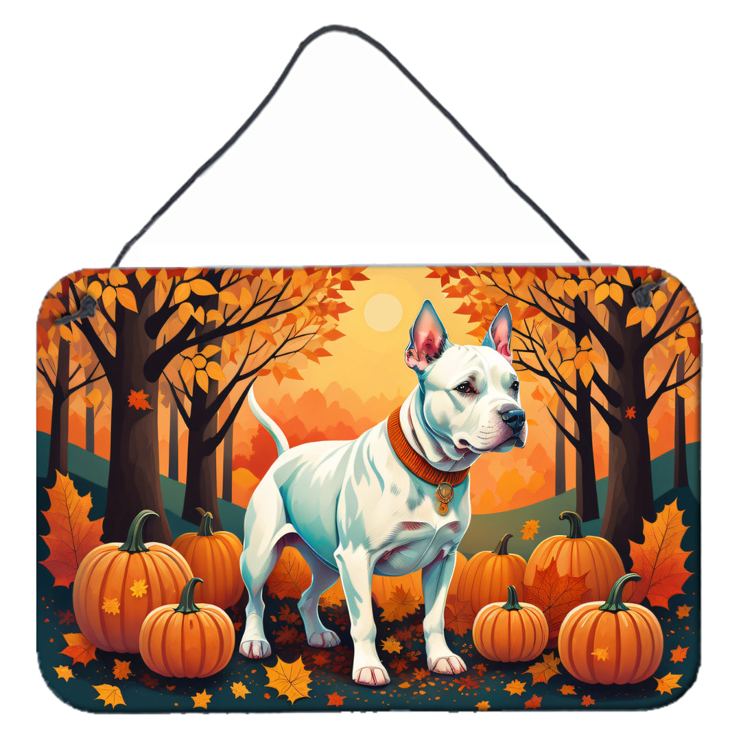 Buy this White Pit Bull Terrier Fall Wall or Door Hanging Prints