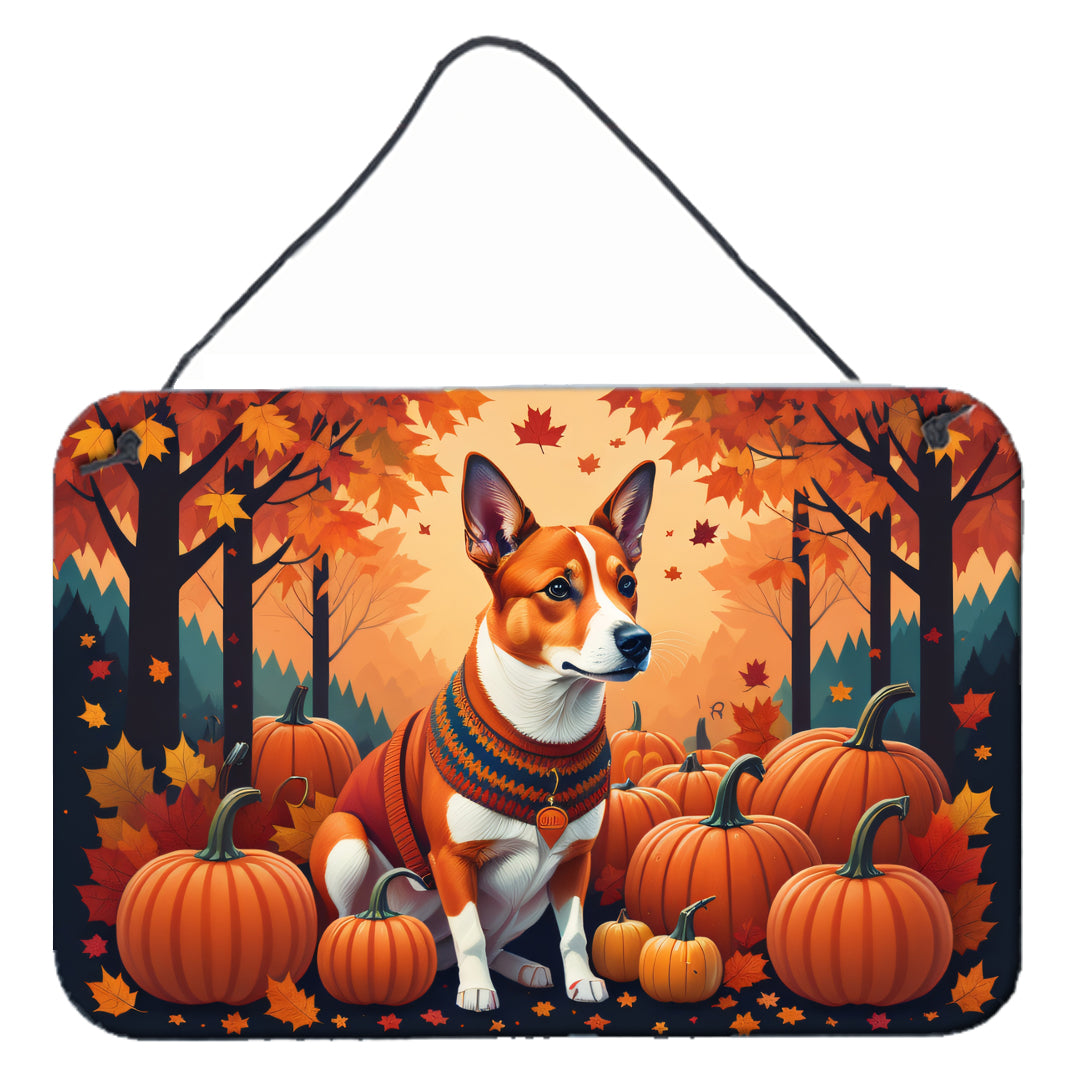 Buy this Red Basenji Fall Wall or Door Hanging Prints