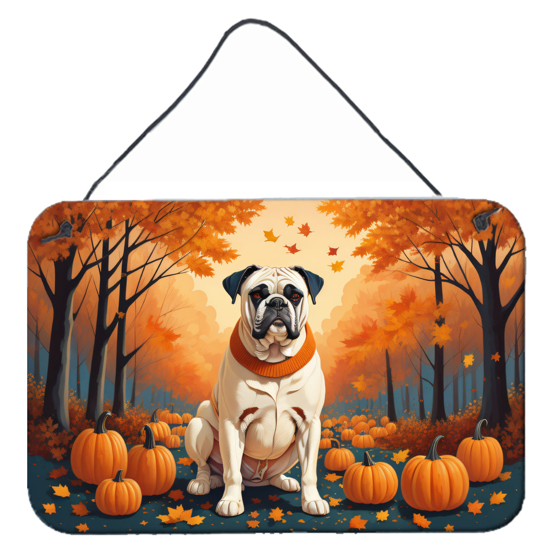Buy this White Boxer Fall Wall or Door Hanging Prints