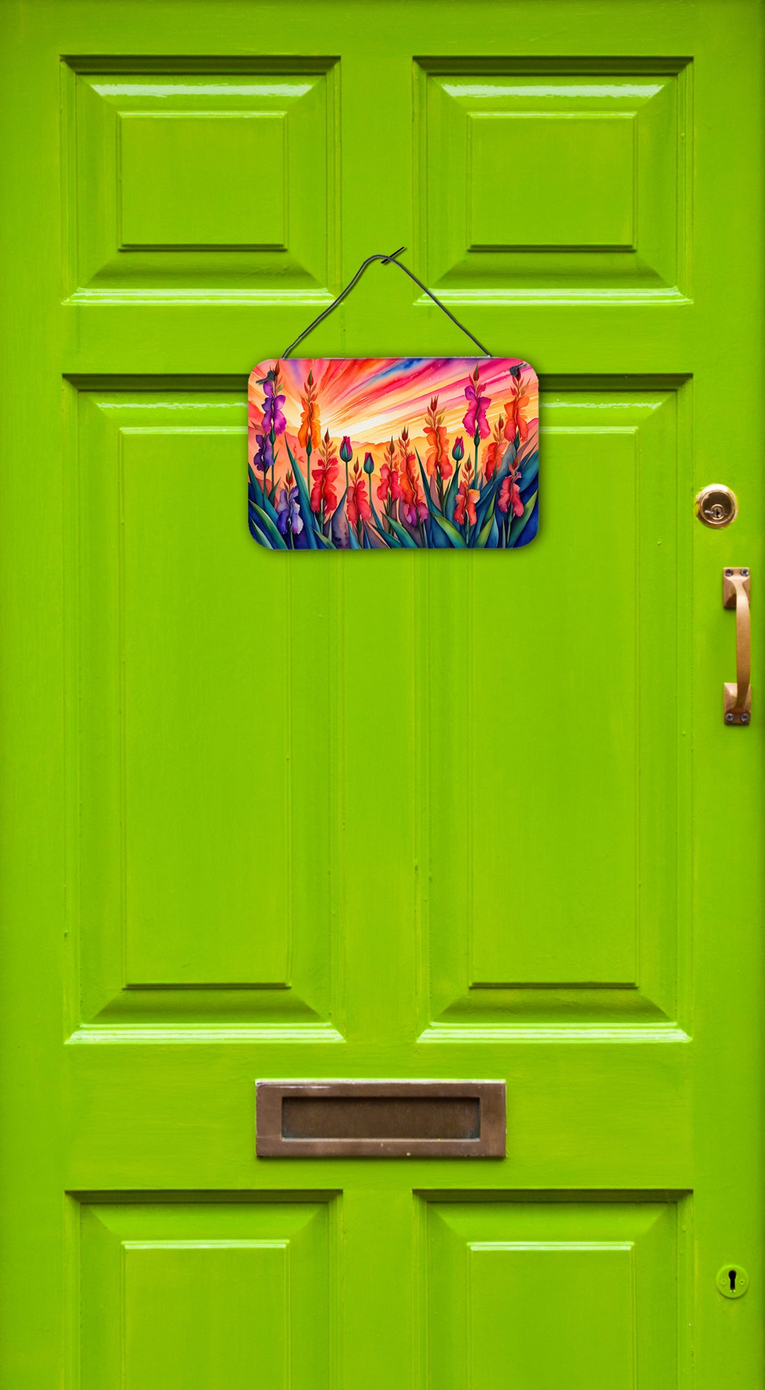 Gladiolus in Color Wall or Door Hanging Prints