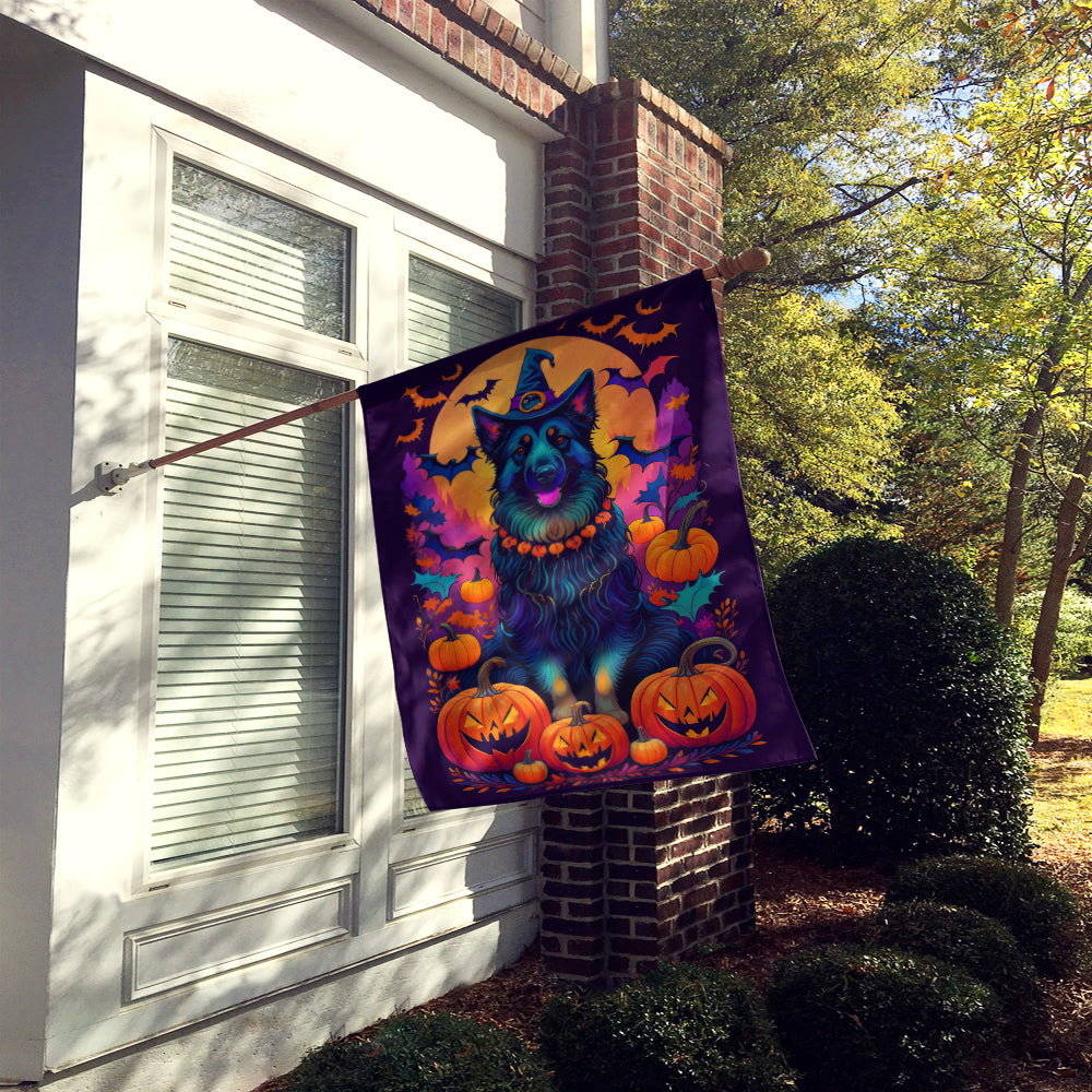 Buy this Belgian Sheepdog Witchy Halloween House Flag