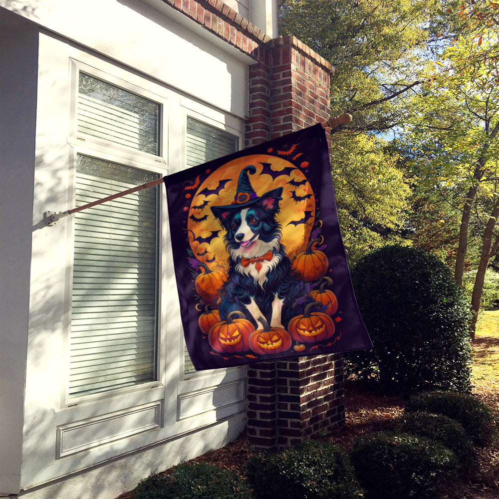 Border Collie Witchy Halloween House Flag