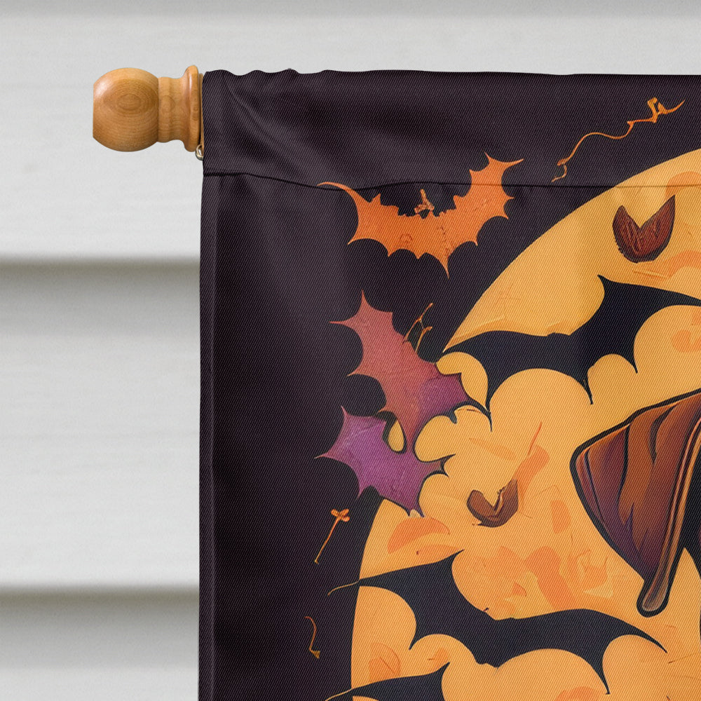 Boxer Witchy Halloween House Flag