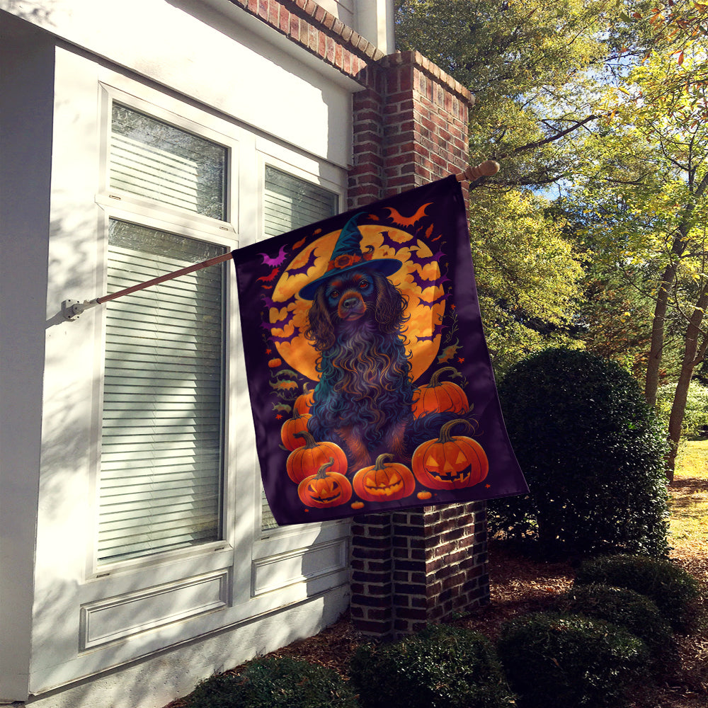 Buy this Boykin Spaniel Witchy Halloween House Flag