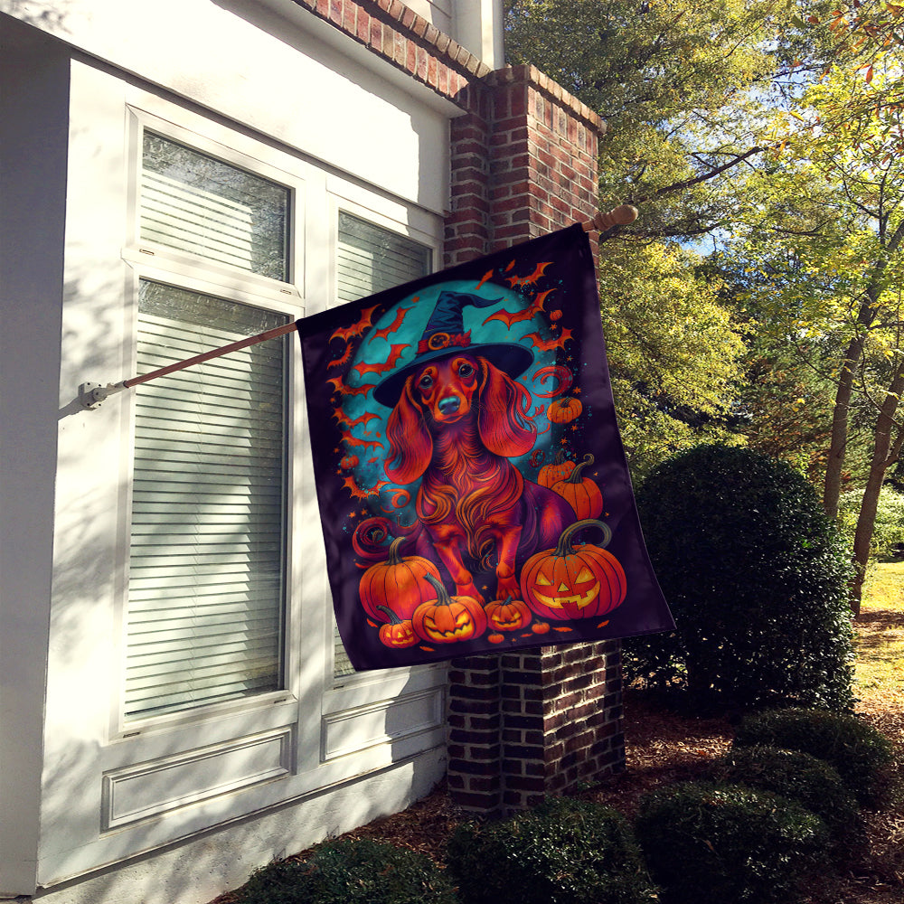 Longhair Dachshund Witchy Halloween House Flag