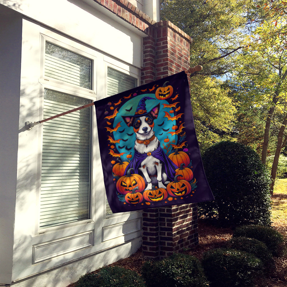 Buy this Jack Russell Terrier Witchy Halloween House Flag