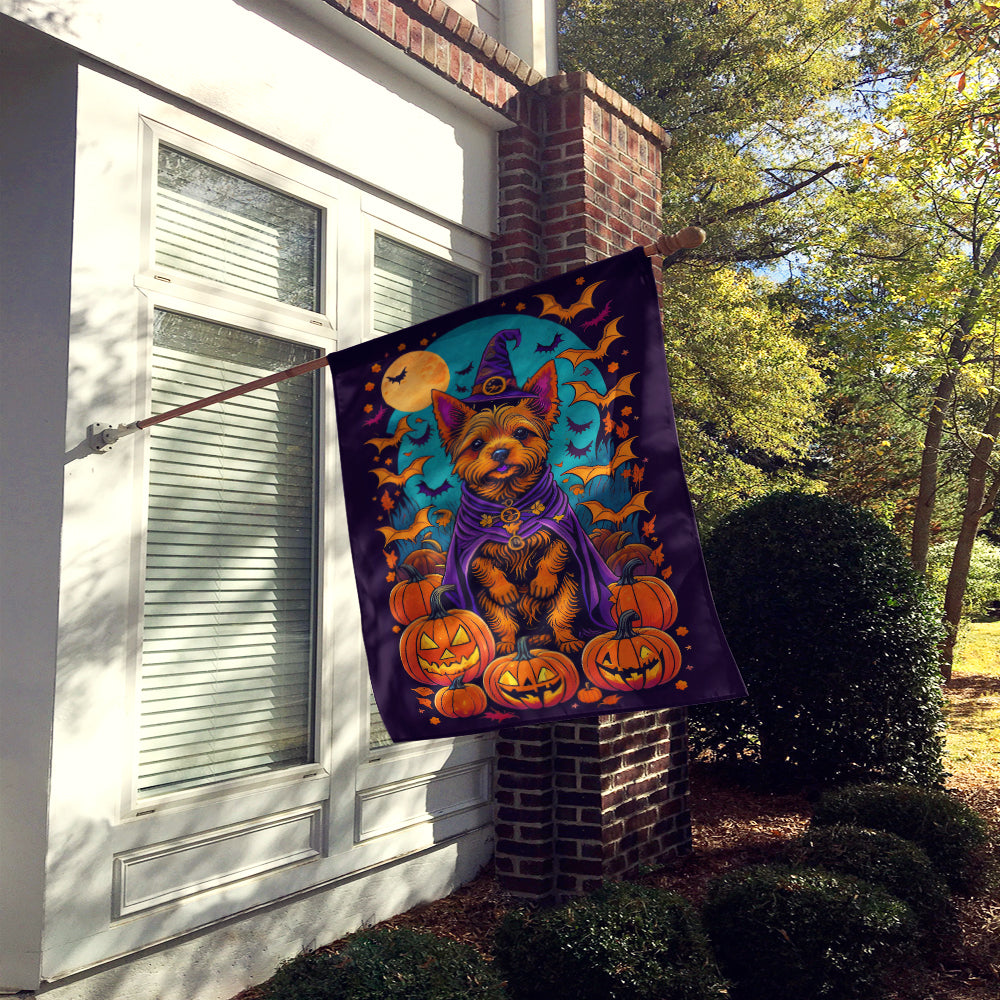 Buy this Norwich Terrier Witchy Halloween House Flag