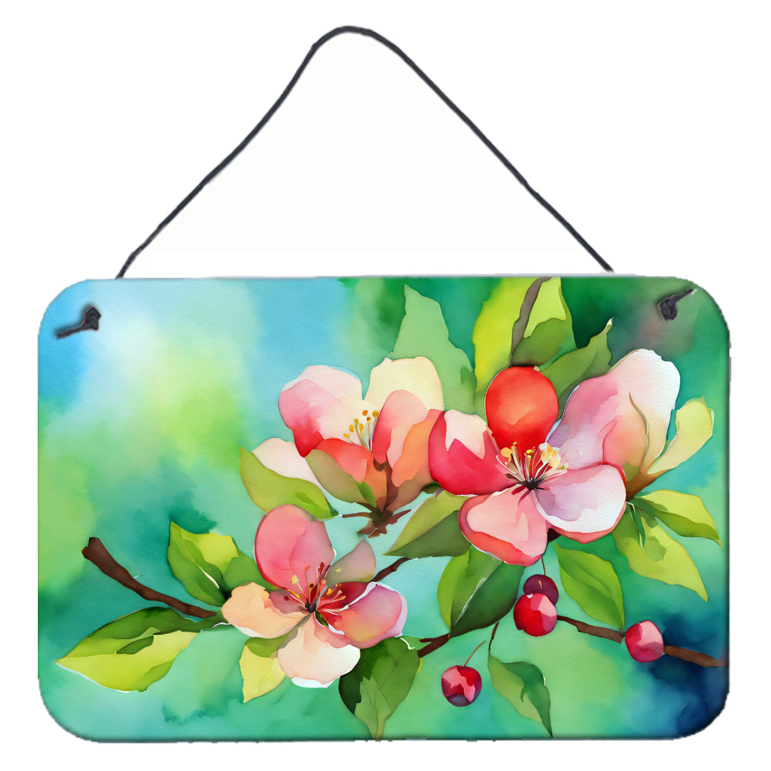 Buy this Arkansas Apple Blossom in Watercolor Wall or Door Hanging Prints