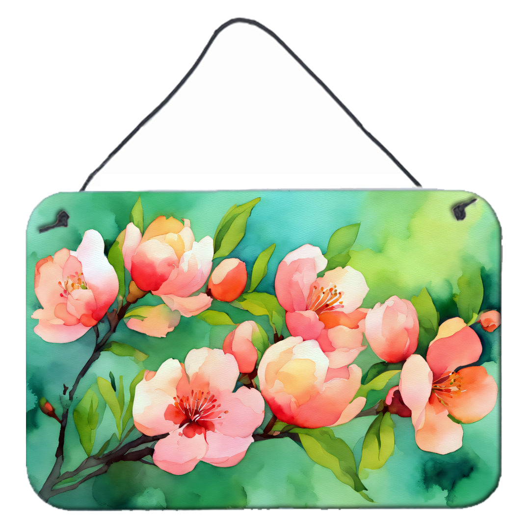 Buy this Delaware Peach Blossom in Watercolor Wall or Door Hanging Prints