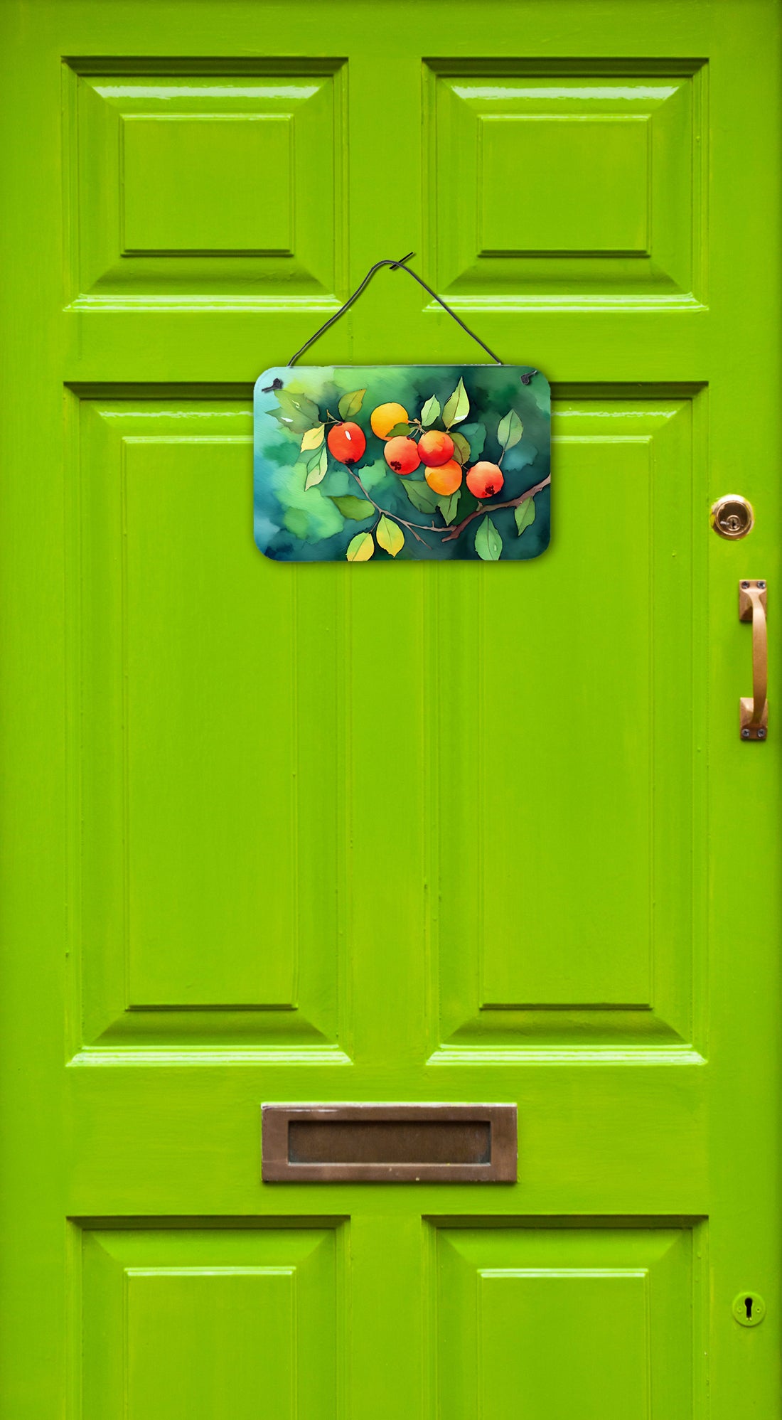 Caroline's Treasures Missouri Hawthorns in Watercolor Wall or Door Hanging Prints