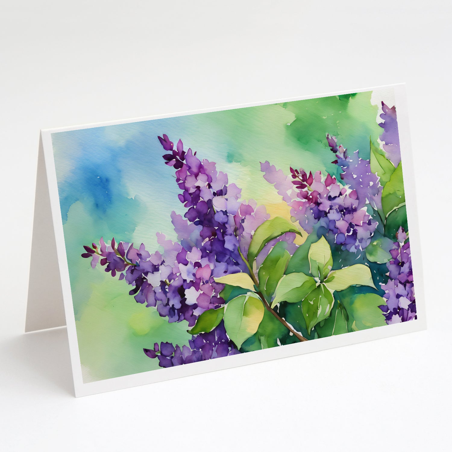 Buy this New Hampshire Purple Lilac in Watercolor Greeting Cards and Envelopes Pack of 8