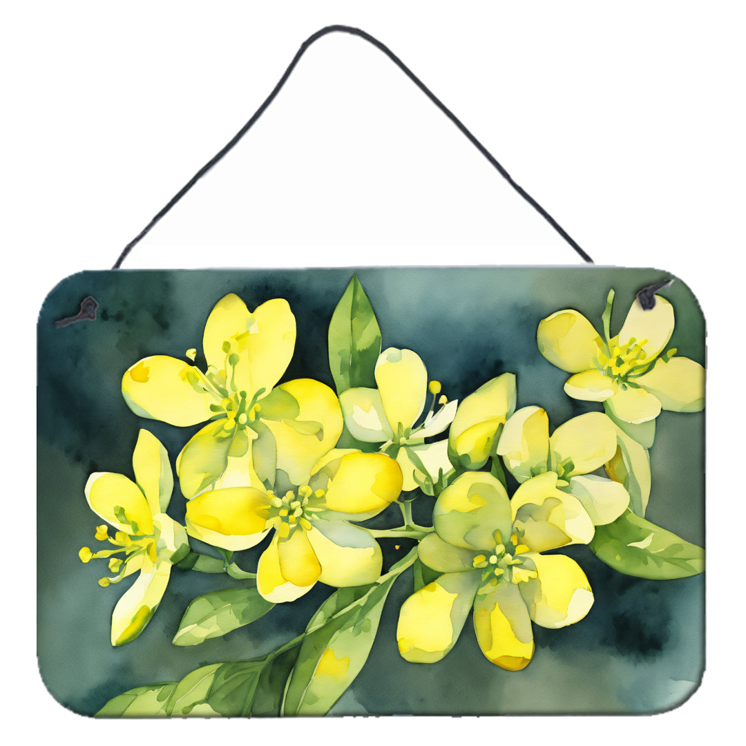 Buy this South Carolina Yellow Jessamine in Watercolor Wall or Door Hanging Prints