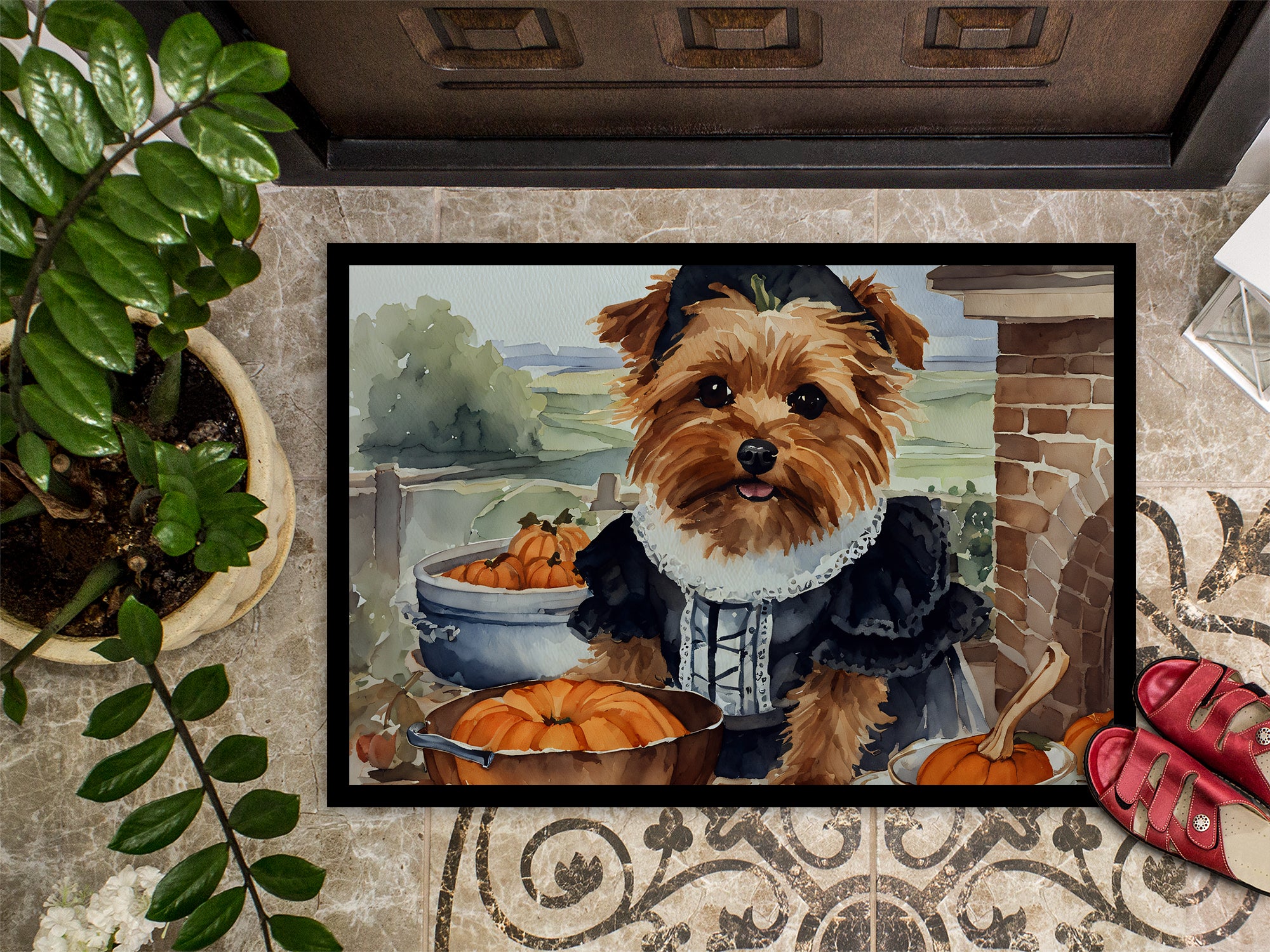 Norfolk Terrier Fall Kitchen Pumpkins Indoor or Outdoor Mat 24x36