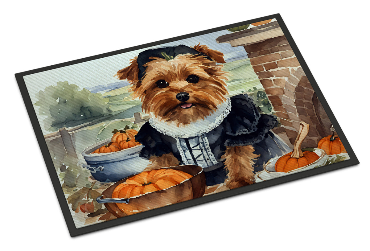 Buy this Norfolk Terrier Fall Kitchen Pumpkins Doormat 18x27