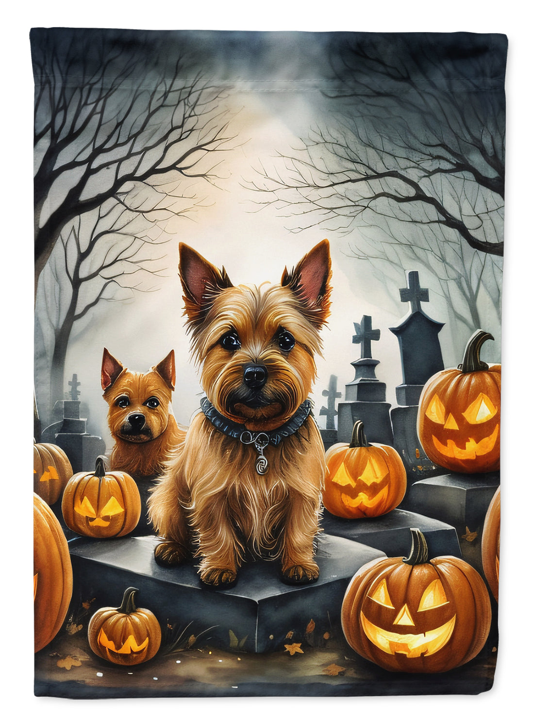 Buy this Norwich Terrier Spooky Halloween House Flag