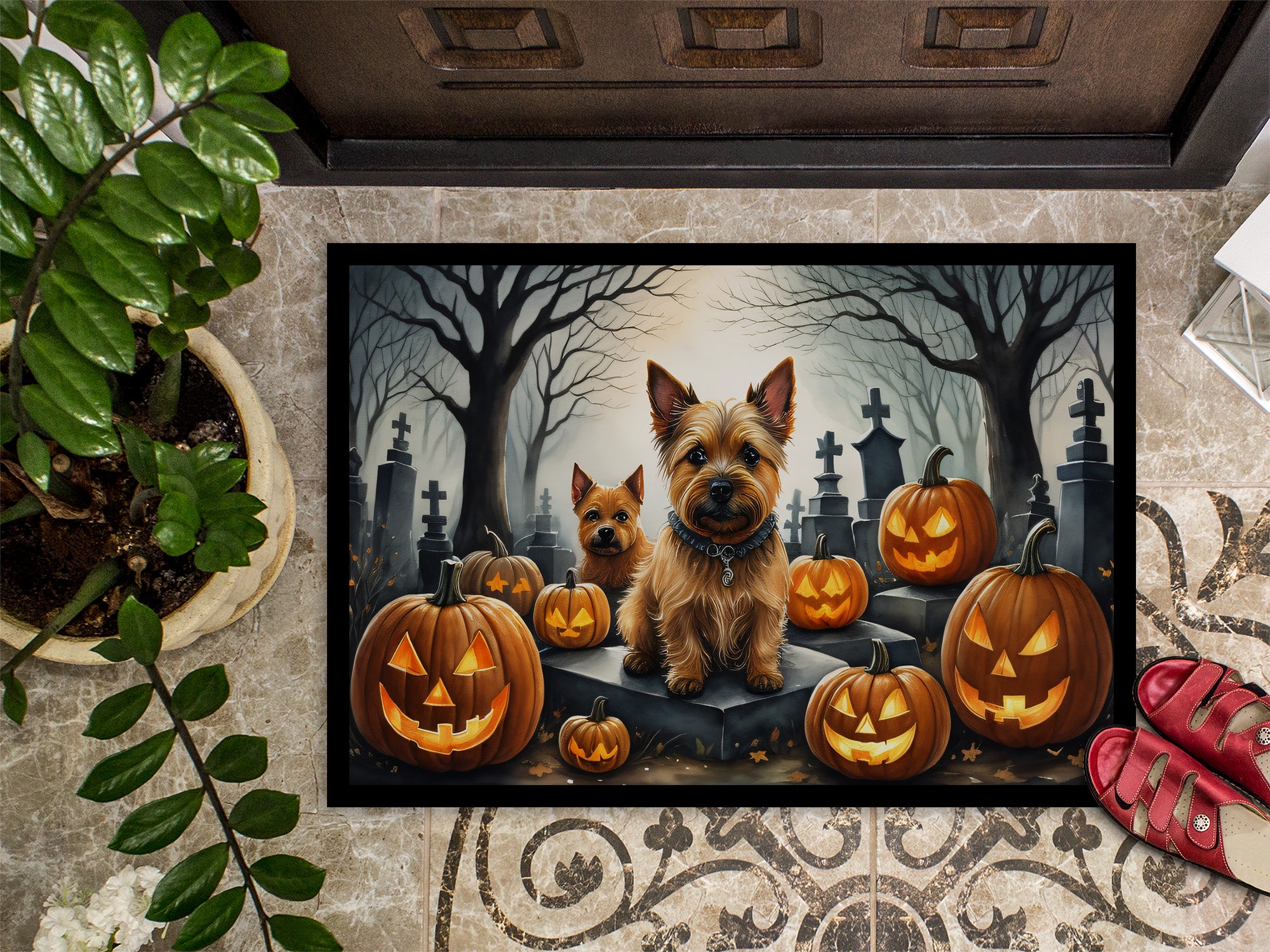 Norwich Terrier Spooky Halloween Indoor or Outdoor Mat 24x36