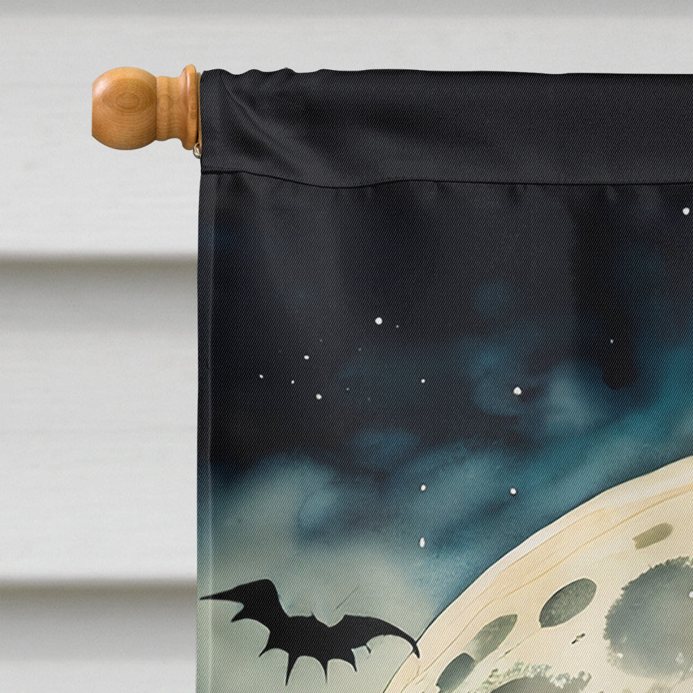 Flying Witch Spooky Halloween House Flag