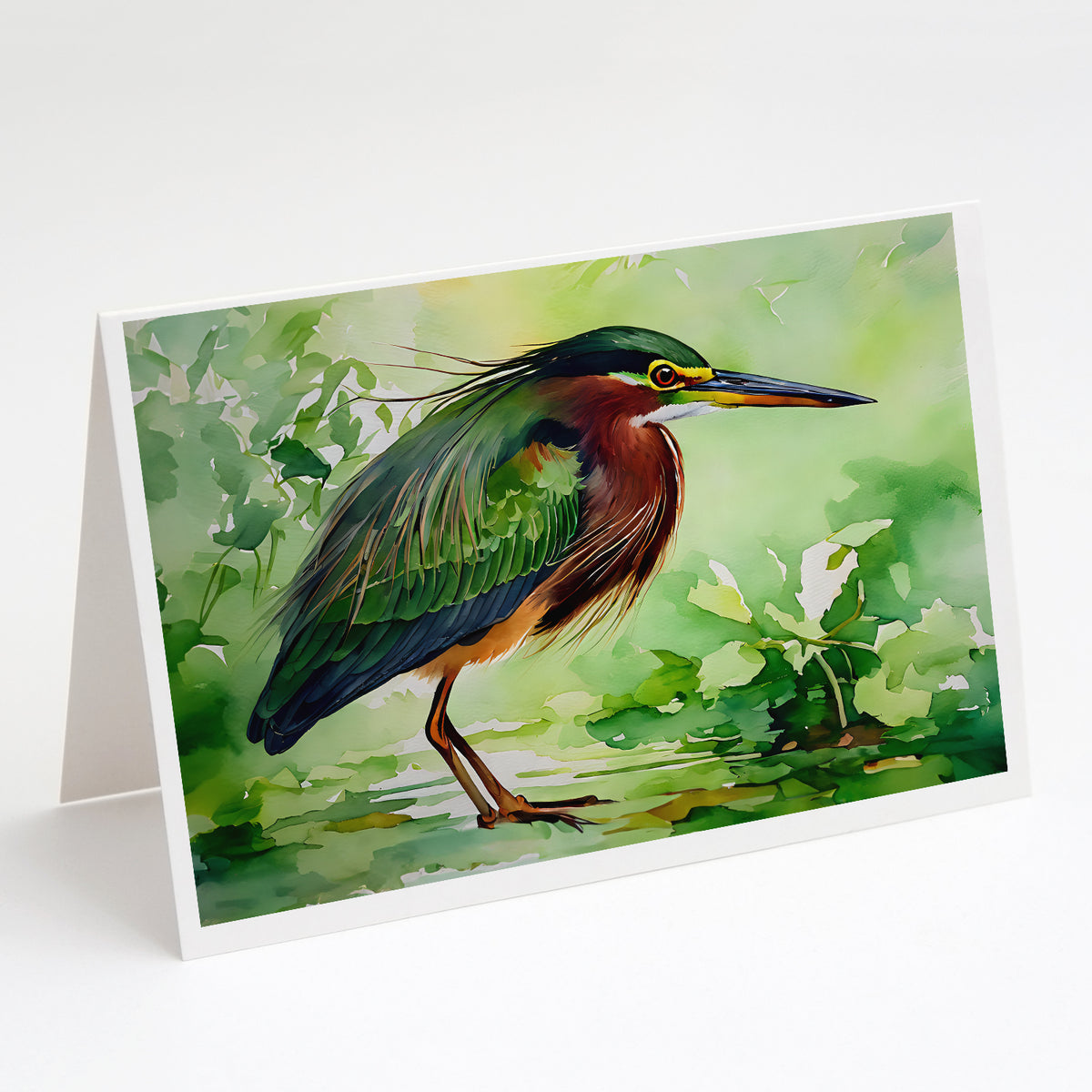 Buy this Green Heron Greeting Cards Pack of 8