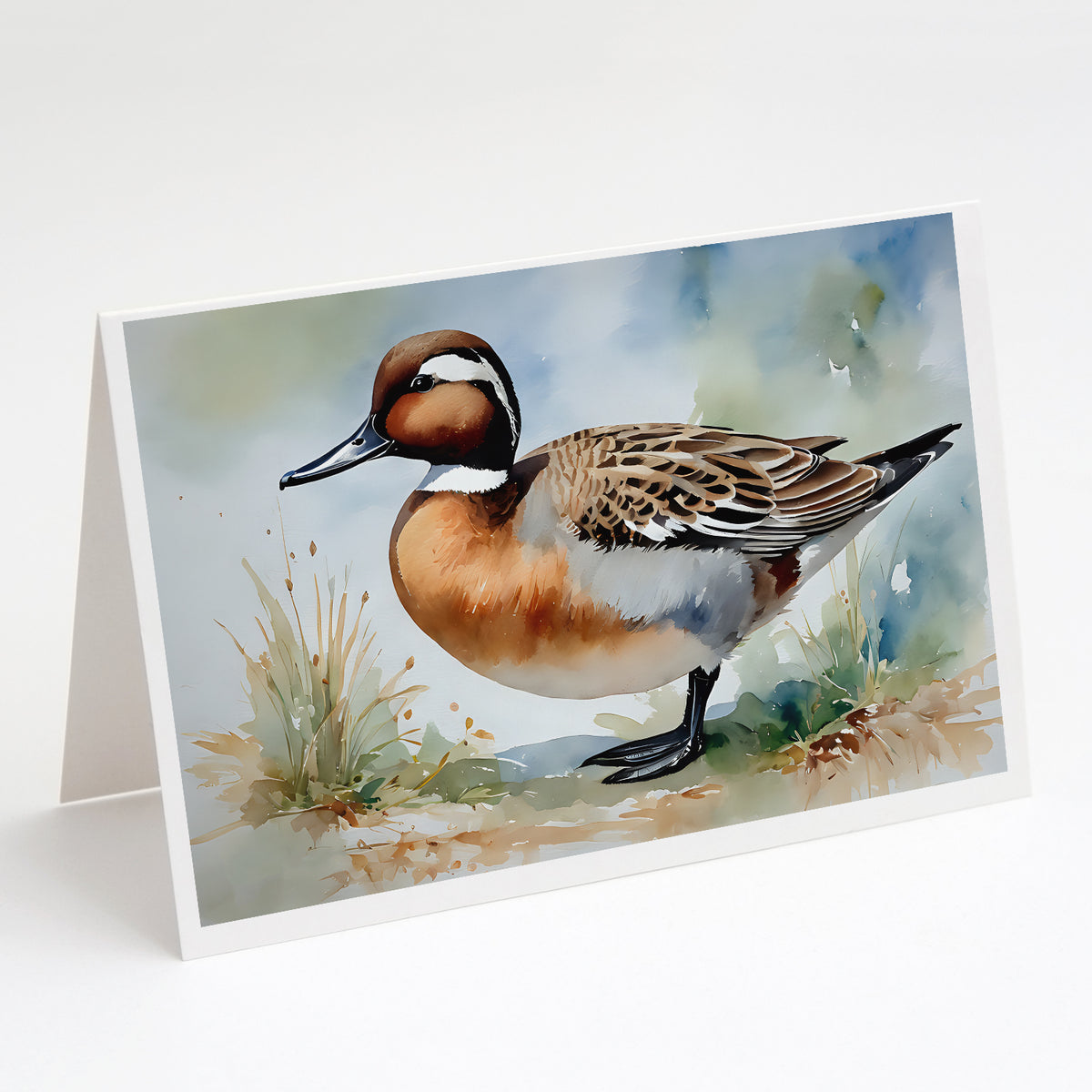 Buy this Northern Pintail Greeting Cards Pack of 8