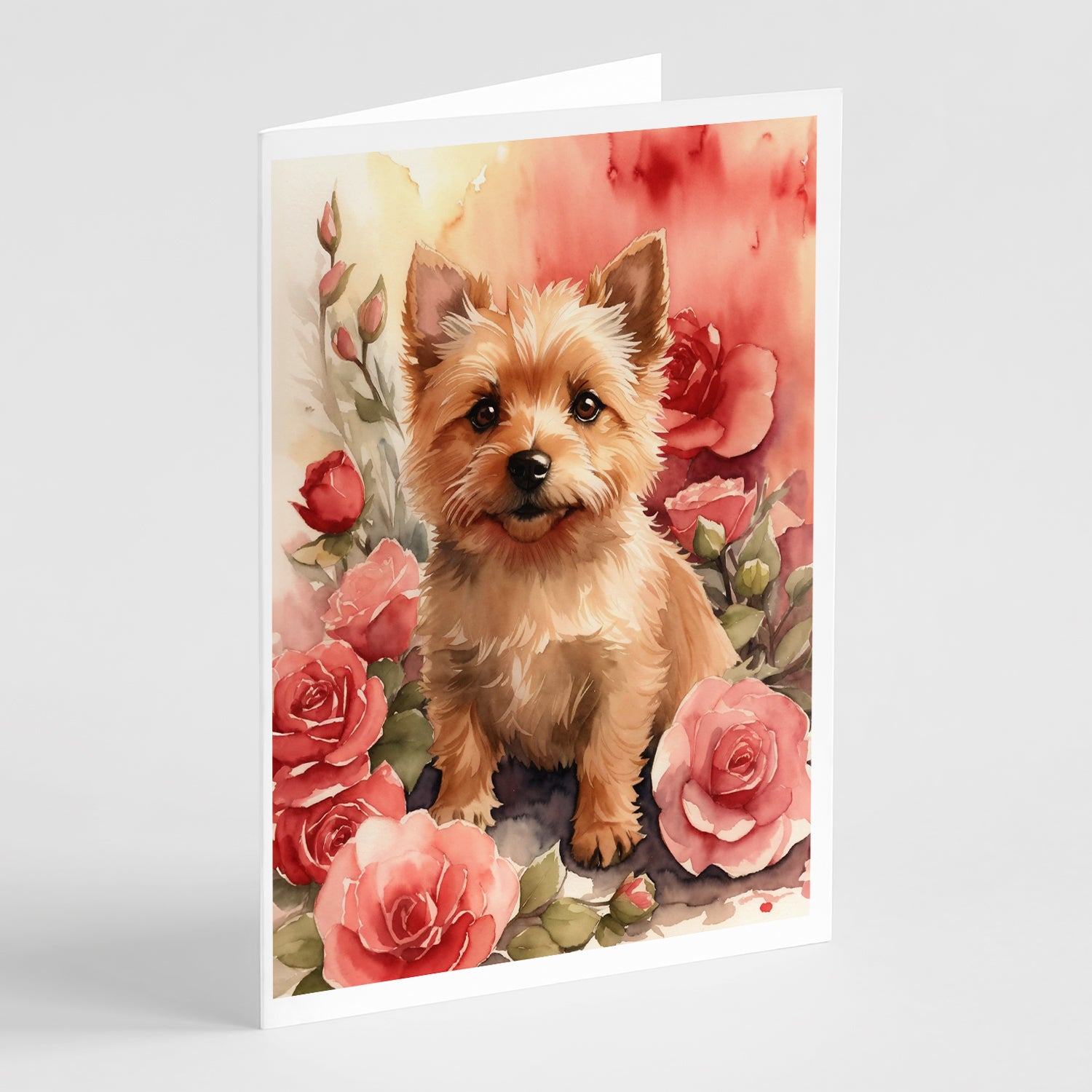 Buy this Norwich Terrier Valentine Roses Greeting Cards Pack of 8