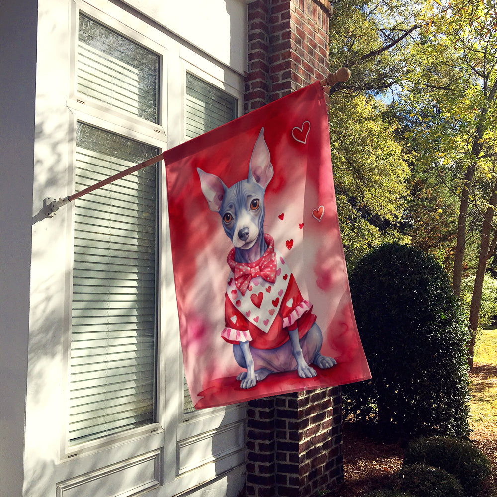 American Hairless Terrier My Valentine House Flag