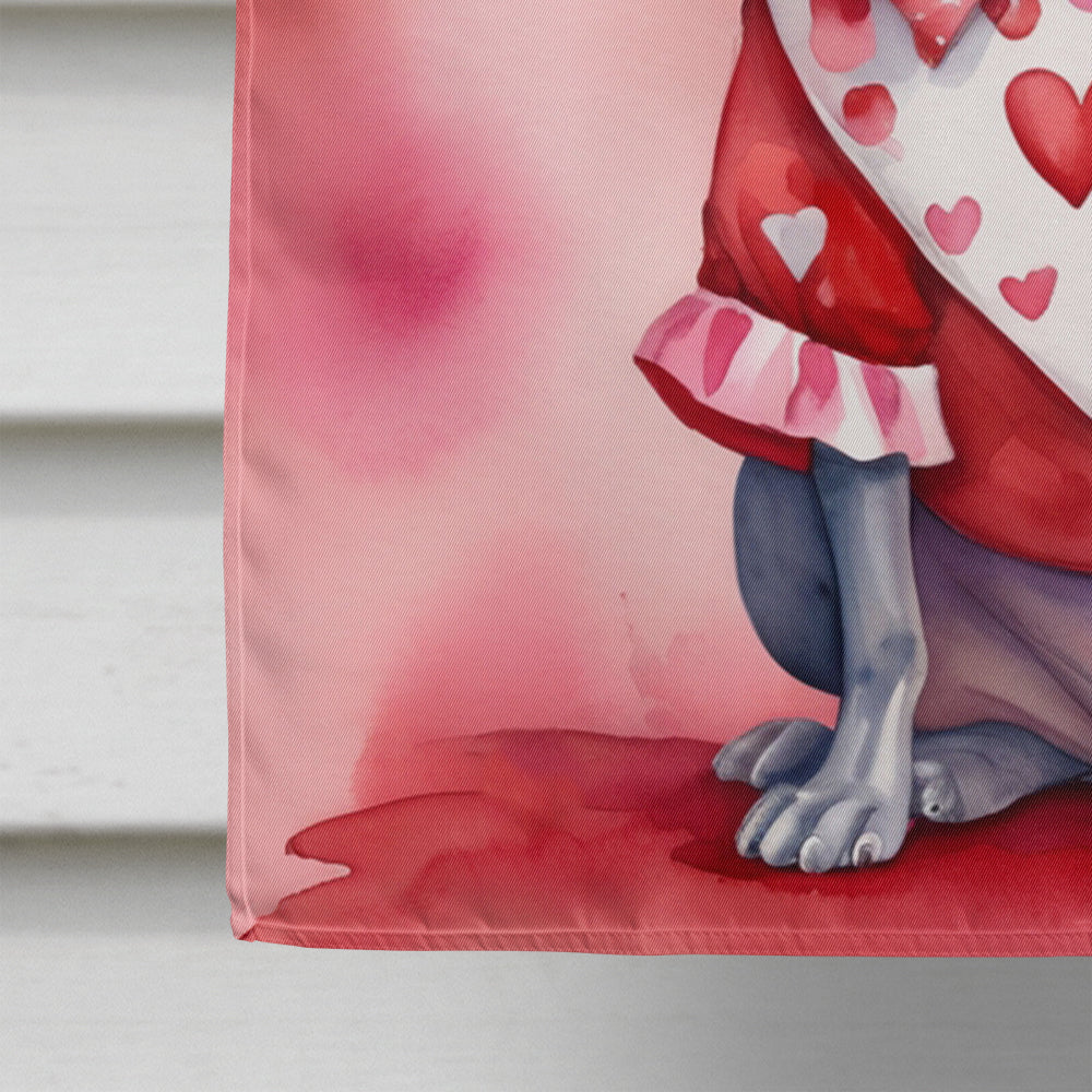 American Hairless Terrier My Valentine House Flag