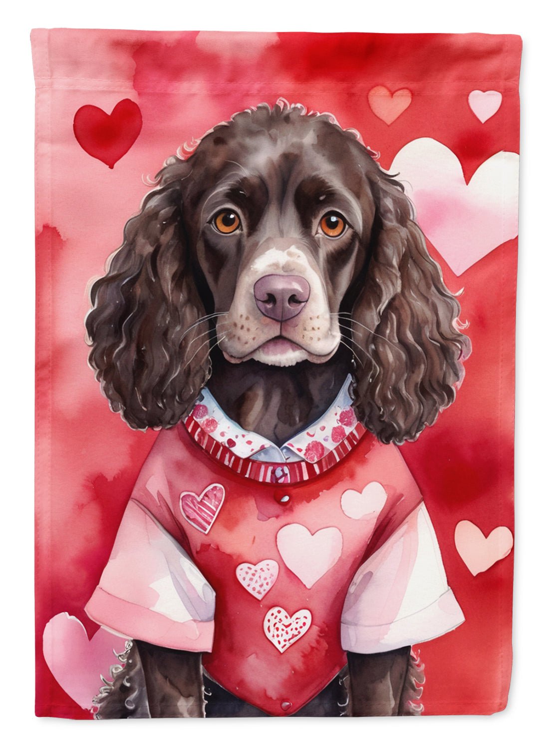 Buy this American Water Spaniel My Valentine House Flag