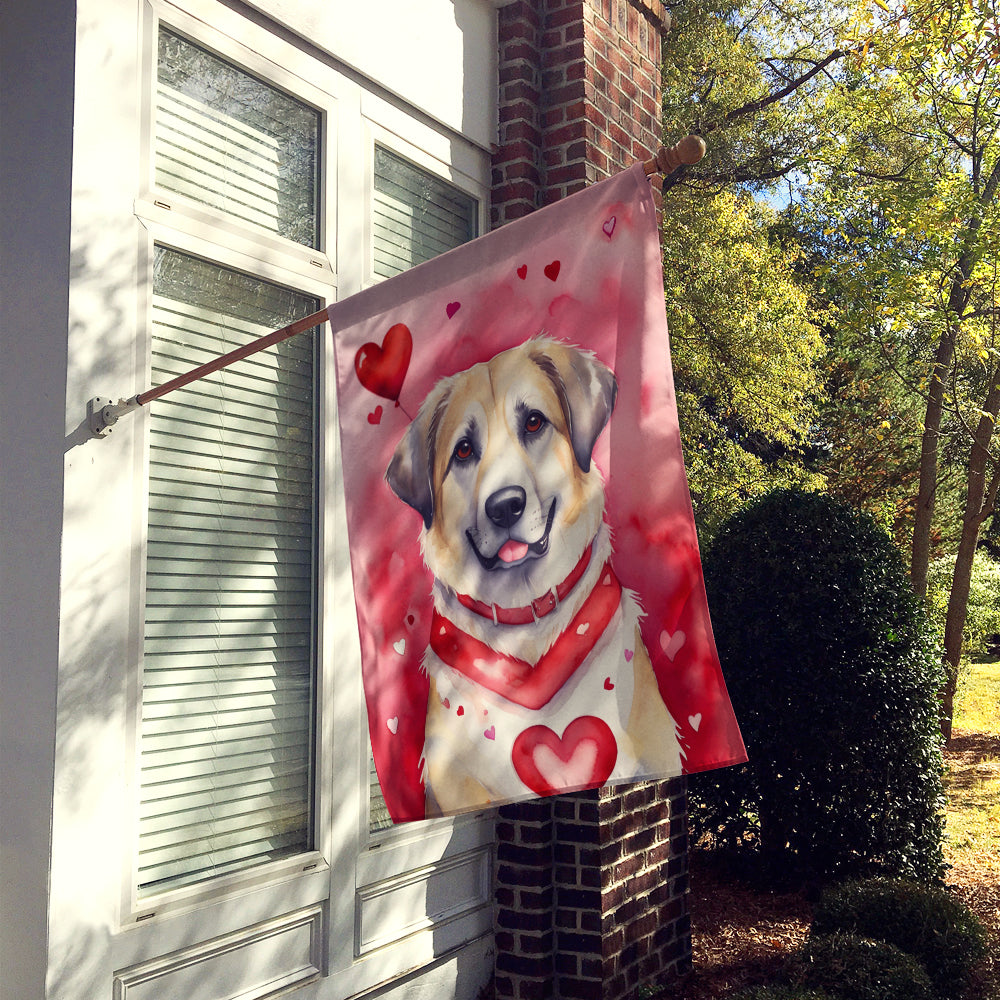 Buy this Anatolian Shepherd Dog My Valentine House Flag